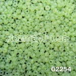Бісер 02254