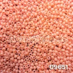 Бісер 09651