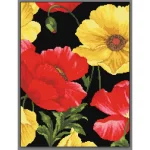 Різнокольорові маки, А3-К-010