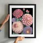 Розкішні жоржини, ЗПК-060