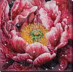 Набір для вишивки бісером "Поцілунок роси", АВ-951