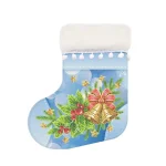 Чобіток ЧН 016