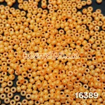 Бісер 16389