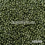 Бісер 18949