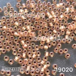 Бісер 19020