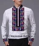 Сорочка "Стильний борщів" 