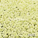 Бісер 46113