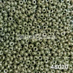 Бісер 48020