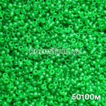 Бісер 50100 мат