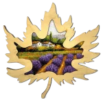 Набір для вишивки хрестиком "Ноти провансу" 