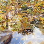 Схема під вишивку бісером "У калюжах"