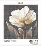 Біла півонія, ЗПК-004