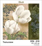 Тюльпани, ЗПК-019