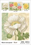 Маки кольорові, ЗПК-045-А