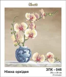 Ніжна орхідея, ЗПК-046 