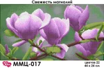 Свіжість магнолій, ММЦ-017
