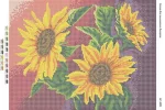 Соняшники 