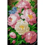 Вишуканість, А2-К-055