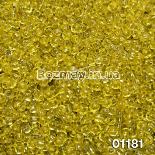 Бісер 01181