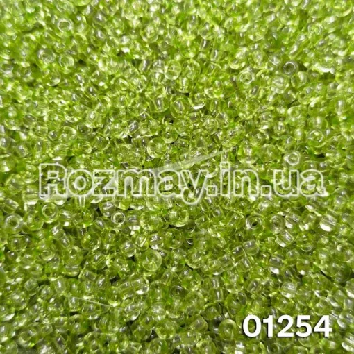 Бісер 01254