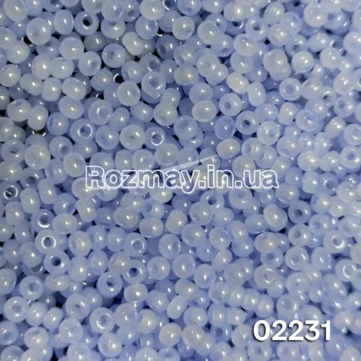 Бісер 02231