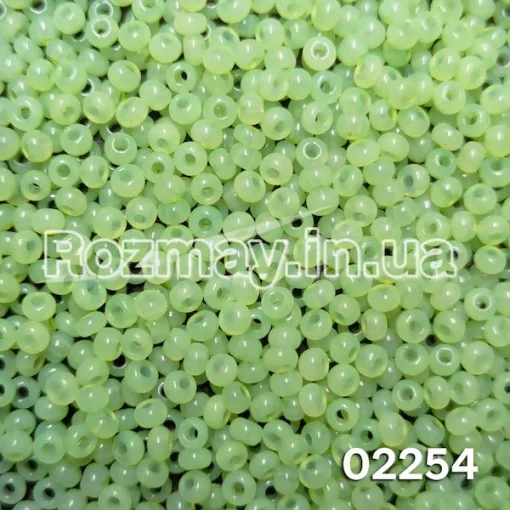 Бісер 02254
