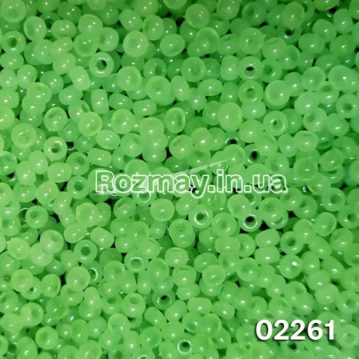 Бісер 02261