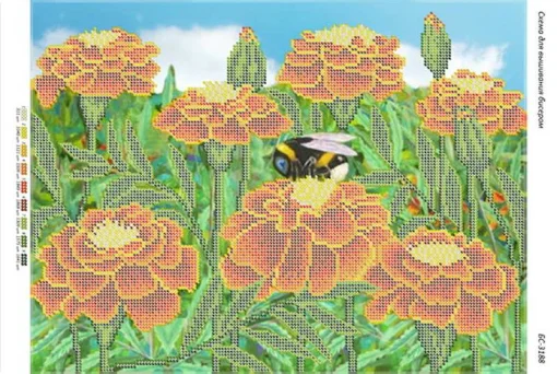 Чорнобривці