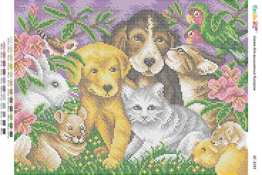 Домашні тварини 