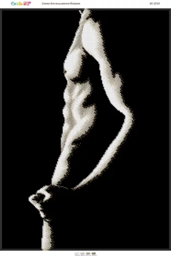 Силуети-8, БС-2133