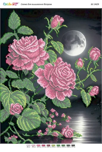 Троянда вночі, БС-3429