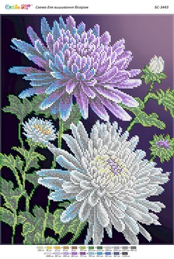 Хризантеми, БС-3443