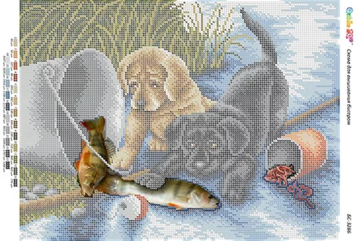 На риболовлі 