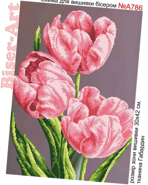 Тюльпани, А786 