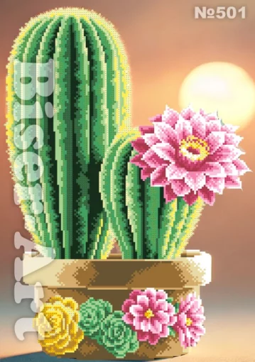 Кактуси, 501 