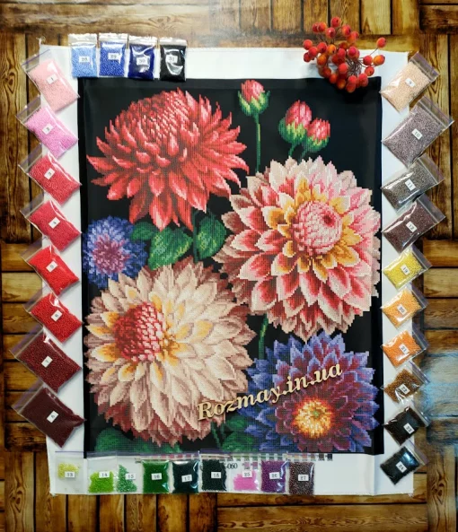 Розкішні жоржини, ЗПК-060