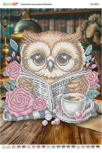 Сова-3, БС-3473