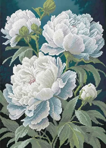 Вечірні півонії, А3-К-1584