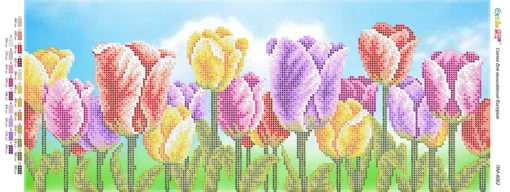  Поле тюльпанів, ПМ-4062