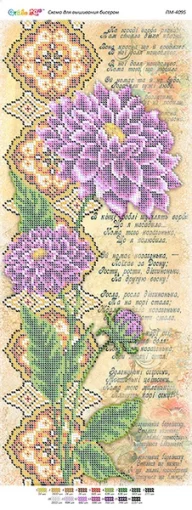 Хризантема, ПМ-4095