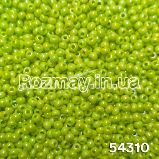 Бісер 54310