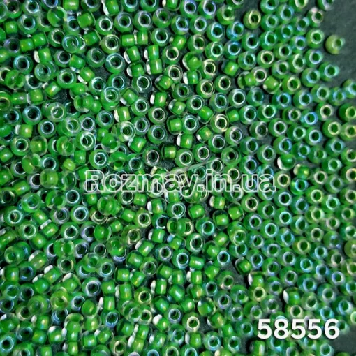 Бісер 58556