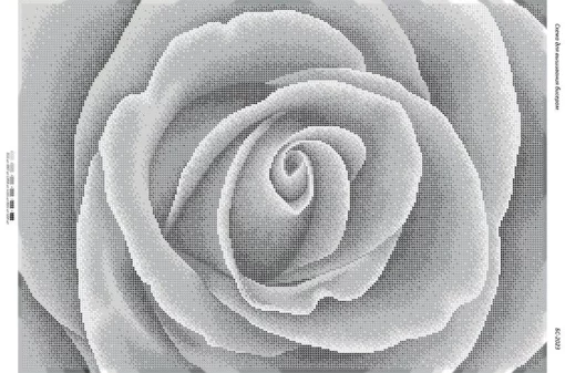 Троянда ч/б