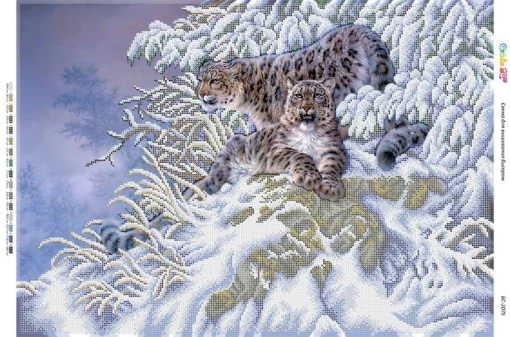 Сніжні барси 