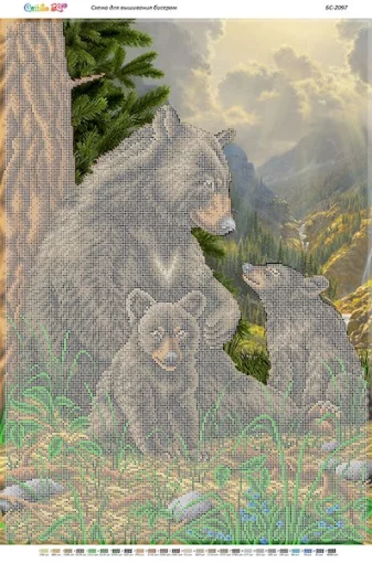 Сім'я ведмедів в лісі