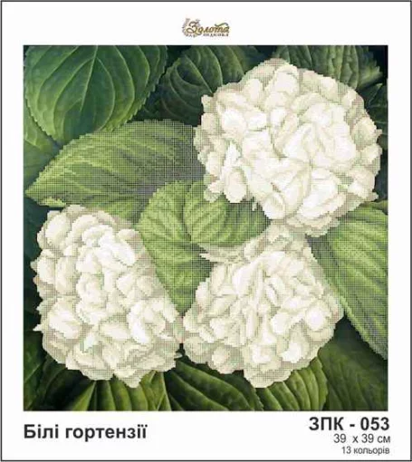 Білі гортензії, ЗПК-053