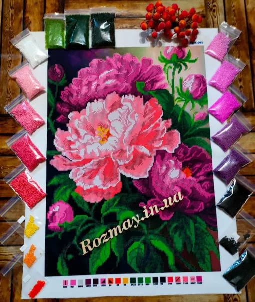 Півонії, А3-К-093