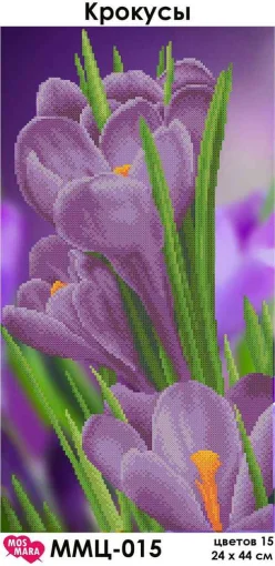 Крокуси, ММЦ-015