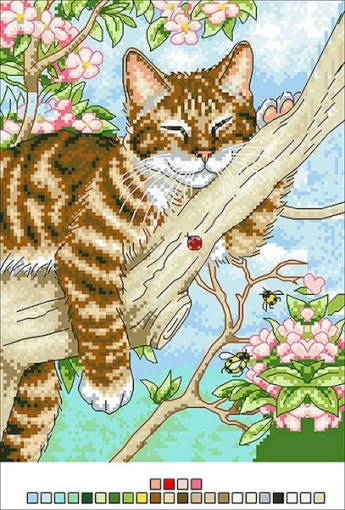 Котик, А4-14-020