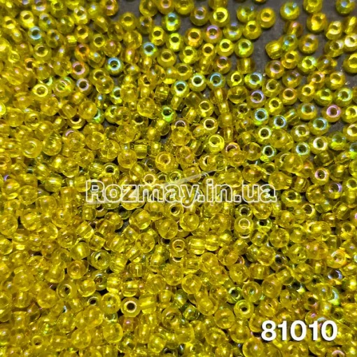 Бісер 81010